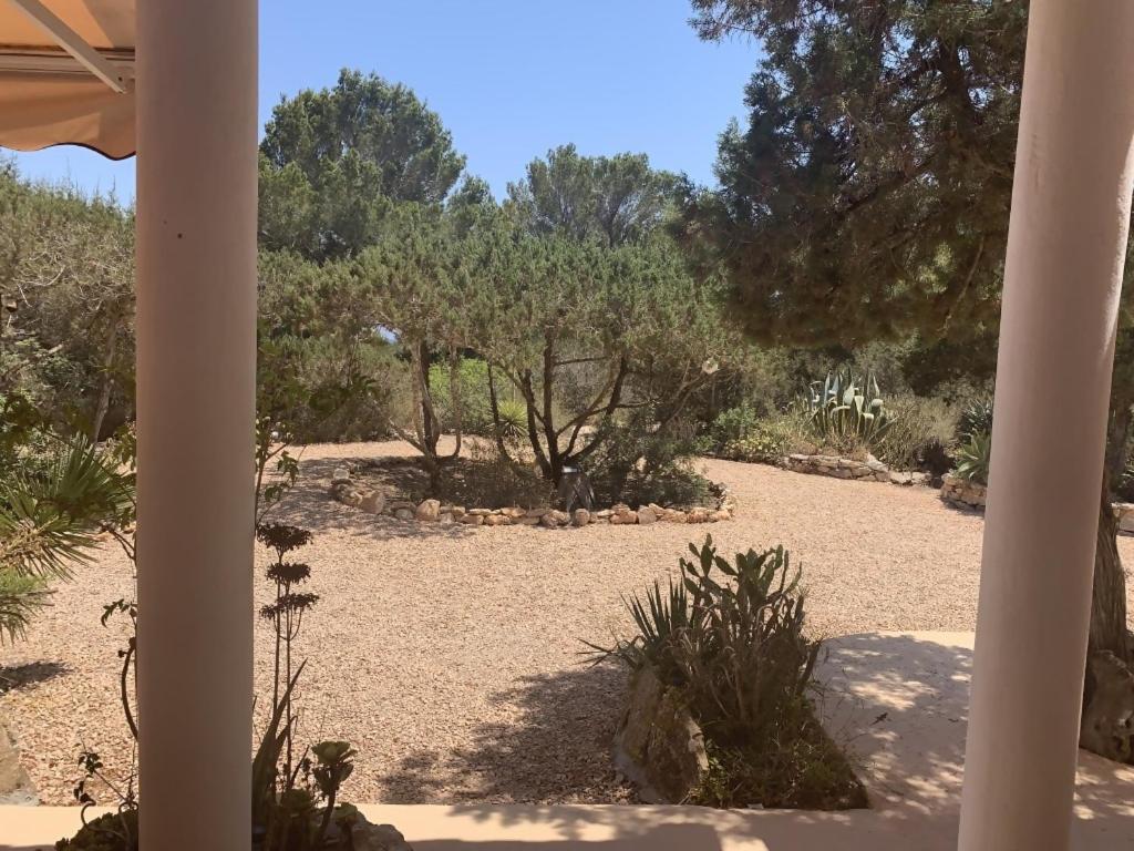 הוילה פלאיה מיג'ורן Casa Goro Formentera מראה חיצוני תמונה