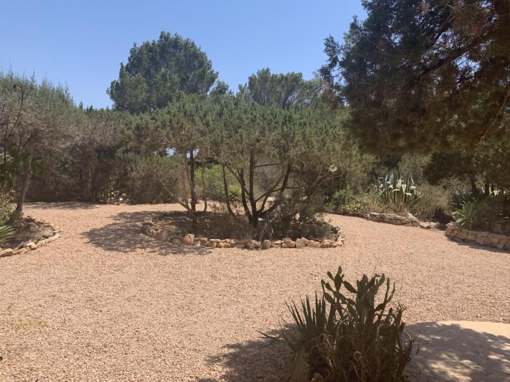 הוילה פלאיה מיג'ורן Casa Goro Formentera מראה חיצוני תמונה