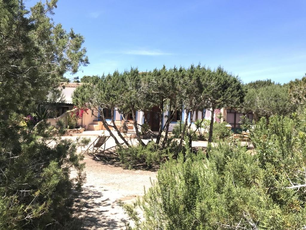 הוילה פלאיה מיג'ורן Casa Goro Formentera מראה חיצוני תמונה